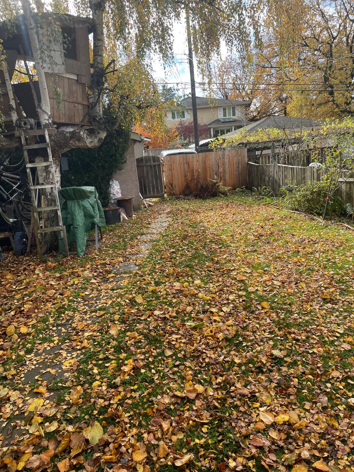Weathered dirty deck before cleaning